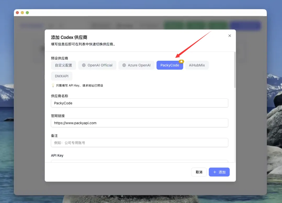 选择 Codex 分组